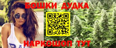 тгк Можга