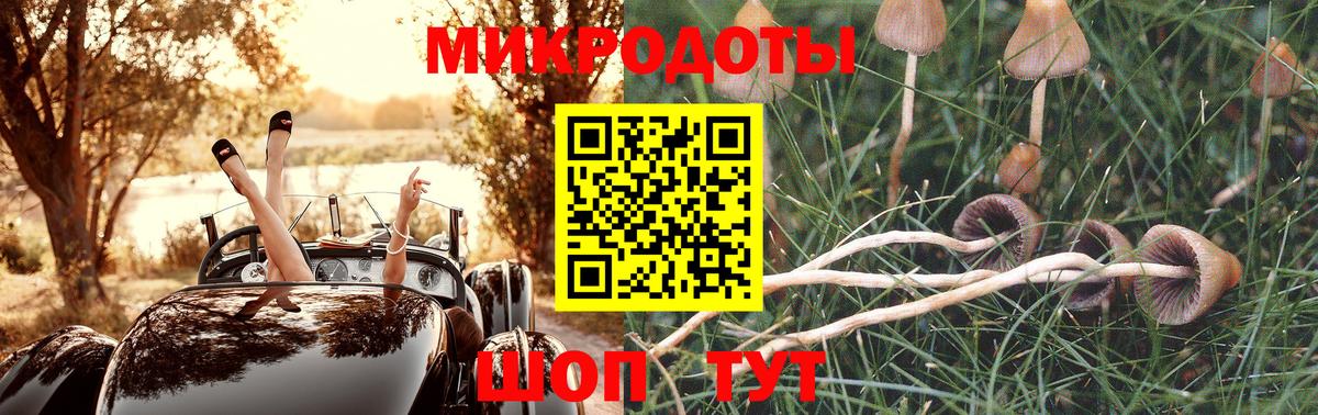 Галлюциногенные грибы GOLDEN TEACHER  Вход с VPN  Псилоцибиновые грибы прущие грибы  Томск 