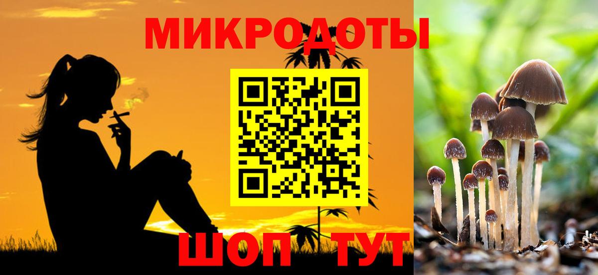 Псилоцибиновые грибы GOLDEN TEACHER Томск